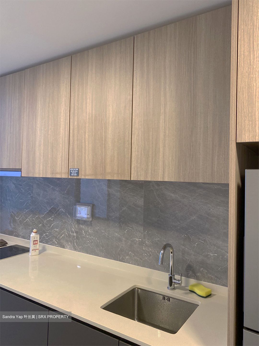 Kent Ridge Hill Residences (D5), Apartment #447638591